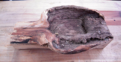 Le morceau de bois brut La buche original